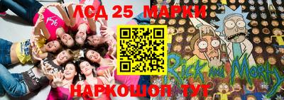 МДПВ Гатчина