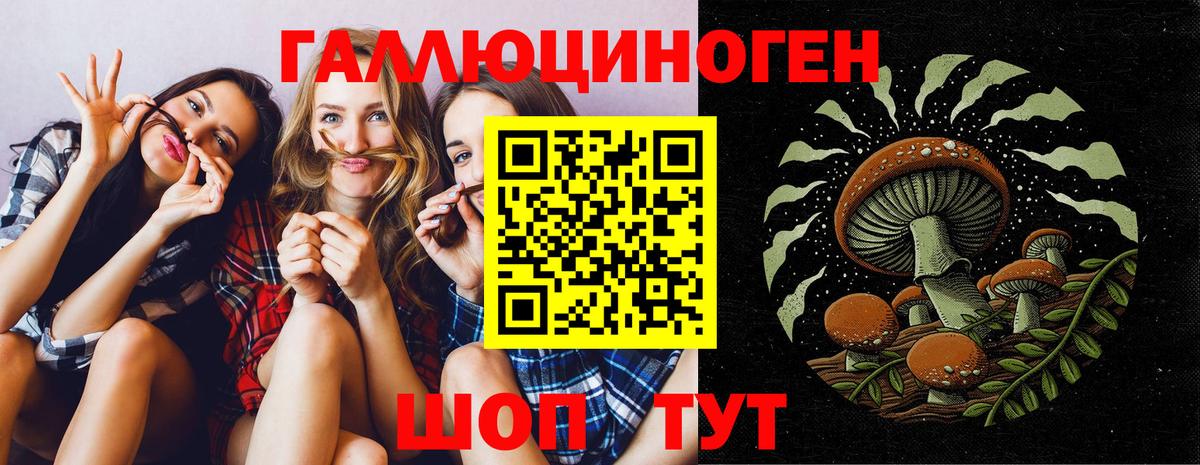 Псилоцибиновые грибы прущие грибы Мценск